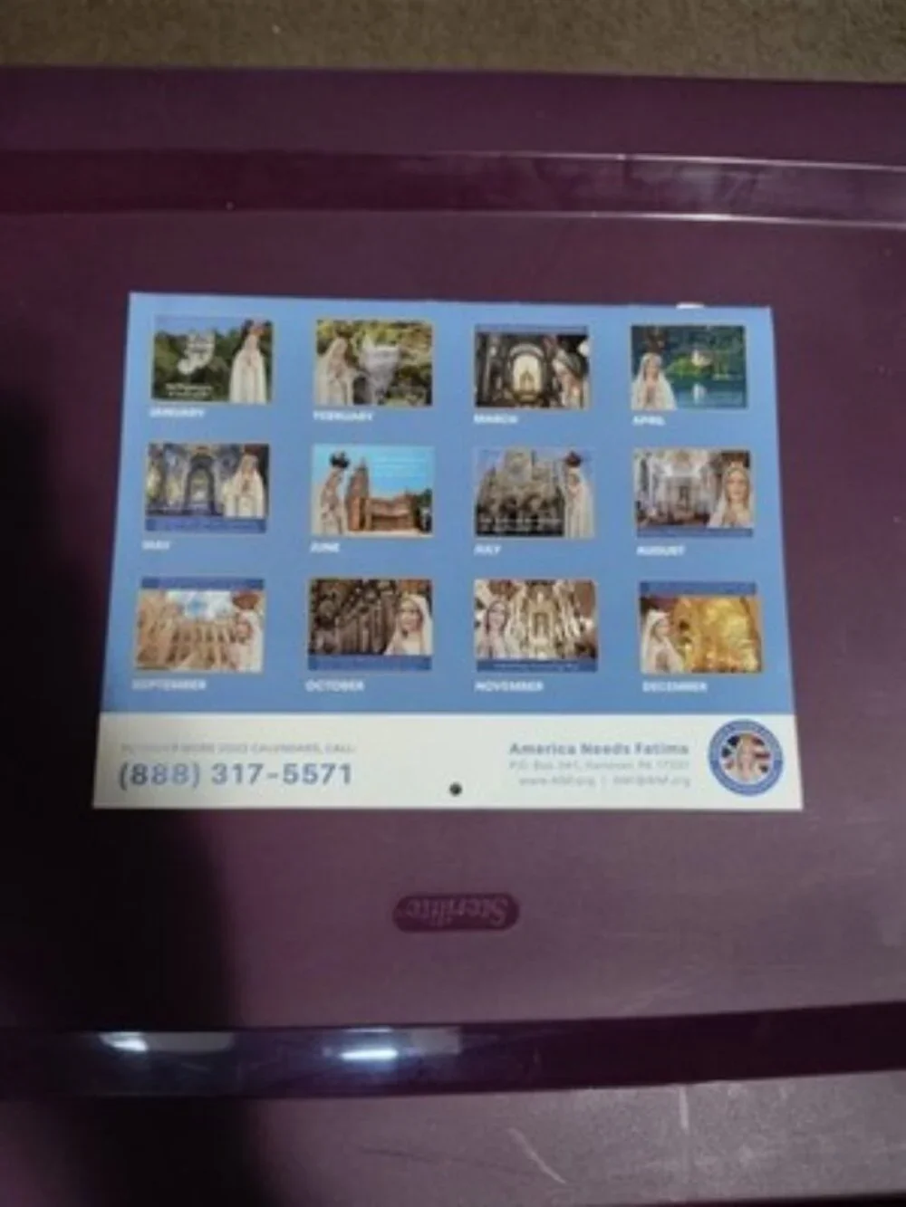 America Needs Fatima ANF Catholic Marian 2023 Wall Calendar